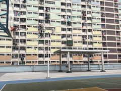 -彩虹村