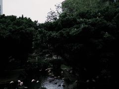 -九龙公园