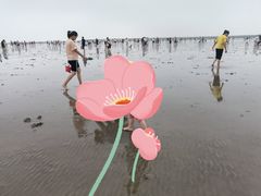 -奉贤海滩