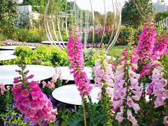 -海心沙亚运公园