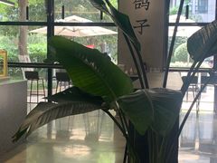 -野鸽子咖啡(中航店)