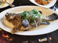 老虎斑-北京四季酒店·采逸轩