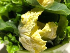 -古乐牛香·鲜牛肉牛杂火锅(新区店)