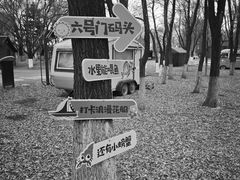 -长白岛森林公园