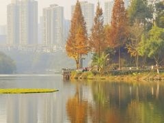 -重庆彩云湖湿地公园