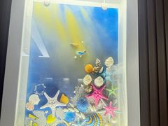 -贝壳王国博物馆