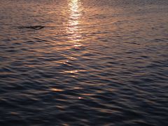 -亮河湾山庄