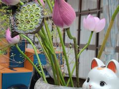 -临江宴(陆家嘴店)