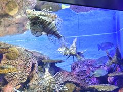 -上海海洋水族馆