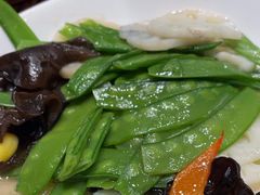 -刘胖子家常菜·蹄花焖藕(中南店)