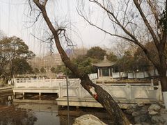 -莲湖公园
