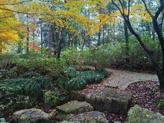 -上海滨江森林公园
