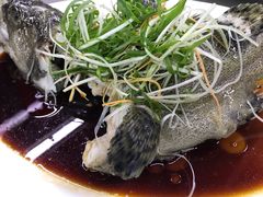 清蒸石斑鱼-快乐海鲜酒楼(滇池路店)