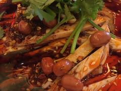 -陈麻婆豆腐总店