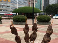 -南宁南湖公园