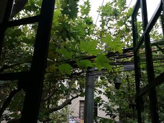 -Apollo·西班牙小酒馆(安福路店)