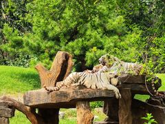 -北京野生动物园