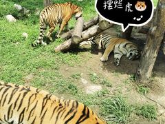 -西安秦岭野生动物园