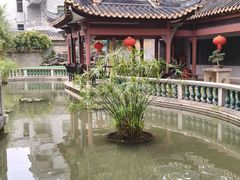 -碧江金楼