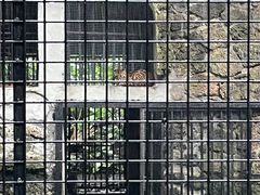 -海南热带野生动植物园