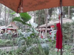 -二荆条·蜀鲜汇城市森林火锅