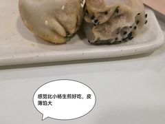 生煎双拼-咬不得高祖生煎·简餐(高银街店)