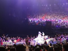 -广州长隆国际大马戏