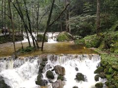 -牛背梁国家森林公园