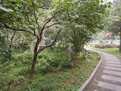 -木塔寺遗址生态公园