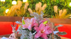 -花隐·美芙炫海菲秀皮肤管理中心