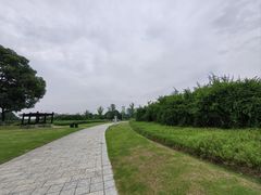 -九里河湿地公园