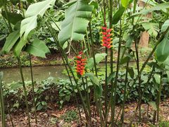 -中国科学院西双版纳热带植物园