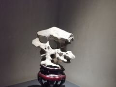 -觀芷隐轩