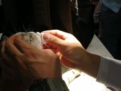 -宠爱国际动物医院·疑难骨科·心肾内科·皮肤科(太阳宫店)