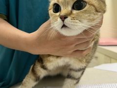 -佳雯宠物医院·皮肤科·内外科(春晓路分院)