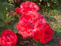 -永定河休闲森林公园