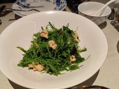 辣木苗鲜桃仁-悦融琥珀·京鲁菜·海味珍品(西单店)