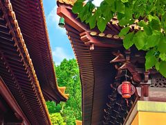 -亭林园-华藏寺