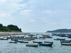 -海源公园