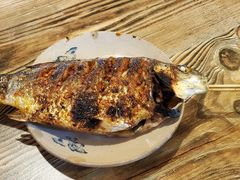 -晓靖轩烧烤(沙河风情店)