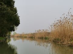 -同里国家湿地公园