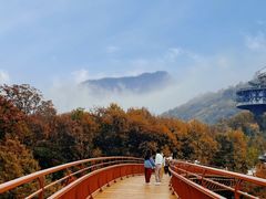 -少华山国家森林公园