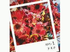 -友达面馆(二七南路店)