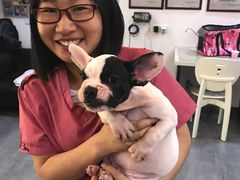 -严国平动物医院(德政总院)