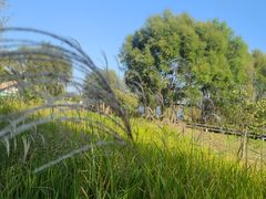 -野鸭湖国家湿地公园