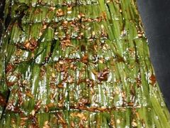 -串来串去(中关村店)