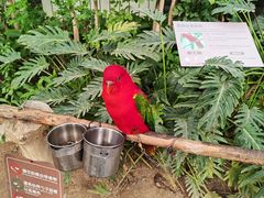 -南宫五洲植物乐园