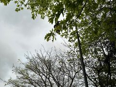 -深圳湾公园(南山区)