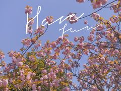 -花开海上生态园