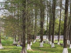 -青龙山国家森林公园